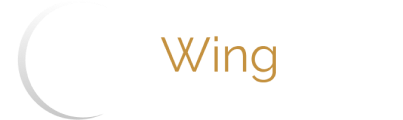 Techwingme logo